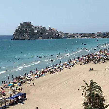 Camelia * Peñíscola